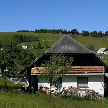 Villa Schwarzwaldhaus Sonnenstrasse, Oberried-Hofsgrund, Dreisamtal à Oberried  Extérieur photo