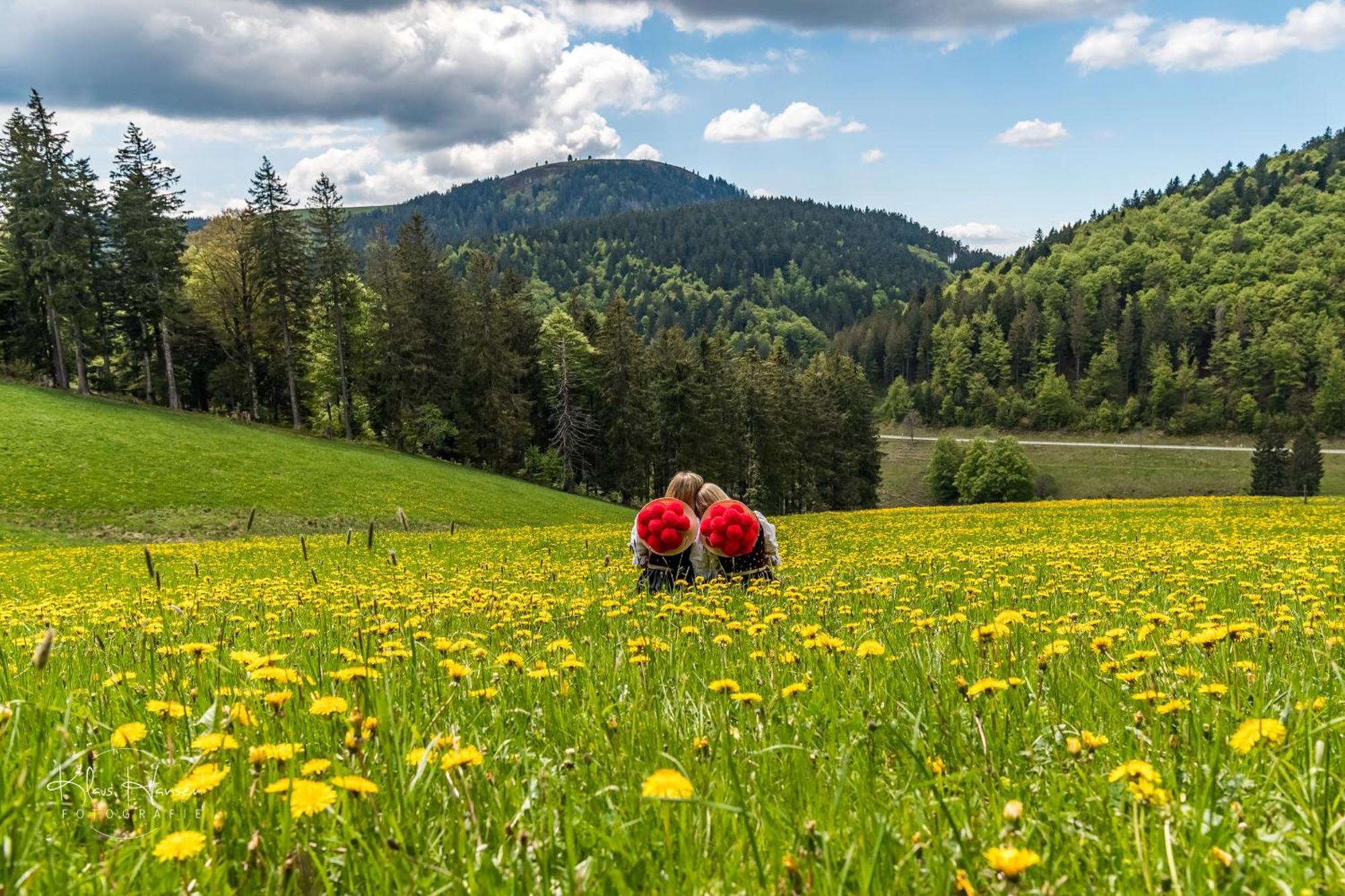 Villa Schwarzwaldhaus Sonnenstrasse, Oberried-Hofsgrund, Dreisamtal à Oberried  Extérieur photo